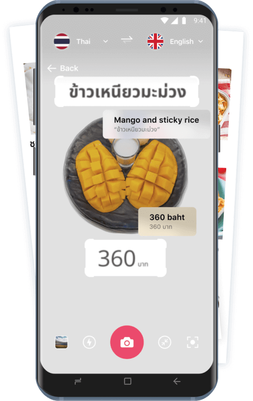 Translate text